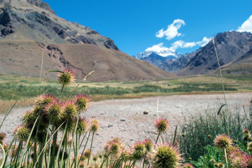 Aconcagua view from the valley below