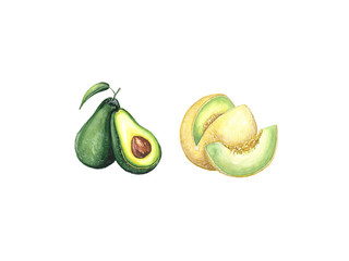 Watercolor illustration of avocado and melon on a white background