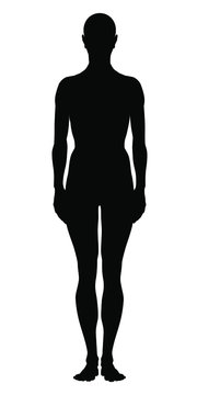 Model of the human body. Hand drawn androgynous, gender-neutral figure. Silhouette on isolated background, front view.