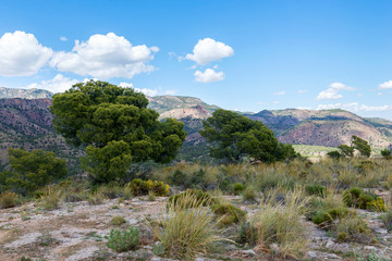 Fototapeta na wymiar Canyon Barrancos de Gebas. Totana. Murcia. Spain. 