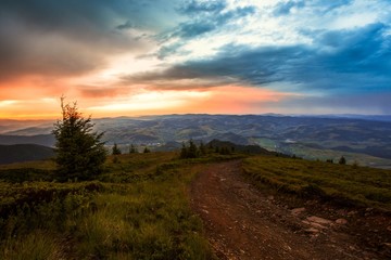 Plakat scenic summer sunset landscape, stunning sunrise scenery, green hill on background amazing sky, colorful summer evening landscape in the mountains, Carpathians, Europe, Ukraine