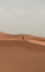Fototapeta na wymiar Una mujer mira el horizonte en el desierto del sahara