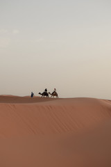 Fototapeta na wymiar Bereber tira de una carabana de camellos