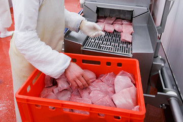 Meat company, industry. A worker hands holding a raw cuts of minced meat, introduced into an introductory washing in the meat production process.