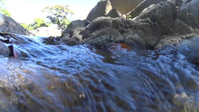 Relajante corriente de agua entre las rocas de un hermoso r&iacute;o