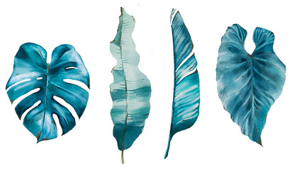 Tropical watercolor set with tropical leaves