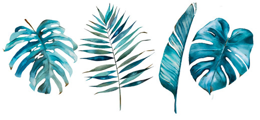 Tropical watercolor set with tropical leaves