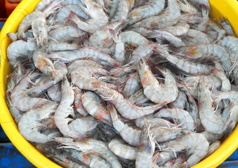 Rich choice of fresh seafood in the Asian market