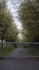 Cherry Blosson Driveway