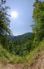 Fototapeta premium Pieniny latem