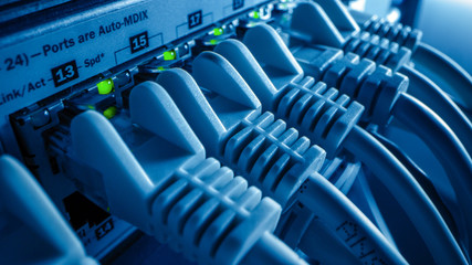 Macro Shot: Ethernet Data Cables Connected to Router Ports with Blinking Lights....