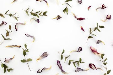 Vintage pattern for decorative design. Vintage floral frame. Minimal flat lay. Dry flowers background.