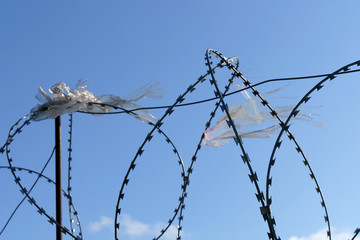 Barbed wire with a torn bag.