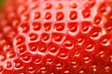 Closeup of fresh strawberry showing seeds. Detailed surface shot of a fresh ripe red strawberry