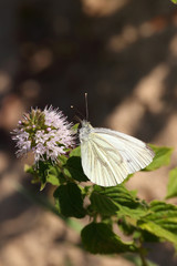 08/19/2015 17:51:10 +0000