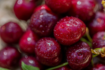 Macro red cherries. Water drops or dew drops on ripe juicy cherries. Sweet      fruits. Shallow depth of field.  Art photography