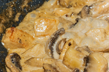 Close-up of homemade cooking chicken with creamy mushrooms