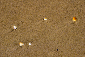 footprints on the beach