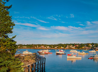  A wharf in Bass Harbor, Maine overlooks fishing boats in the water.