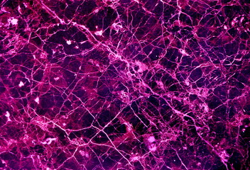 abstract purple background
