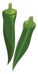 Green okra, illustration, vector on white background - obrazy, fototapety, plakaty