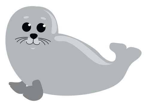 Nerpa animal, illustration, vector on white background