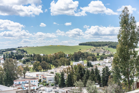 Beja