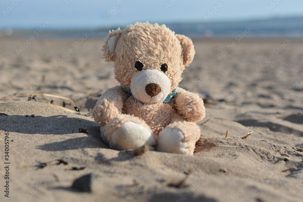 Wall mural Teddy bear at the beach