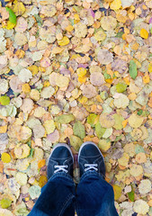 First-person view of sneakers on the background of autumn fallen yellow leaves