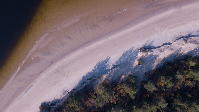 Top view aerial photo, view above from flying drone of a seascape with pink sandy beach and autumn colored trees, website background
