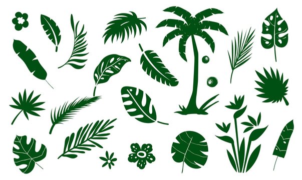 Palm tree collection flat icon.