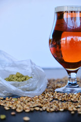 the special bitter beer and its components