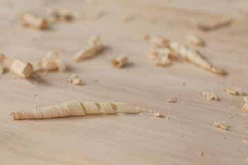 Poplar wood shavings made by a carpenter. Curls on light colored poplar wood. Vintage woodworking, handwork, handmade. Beautiful carving material