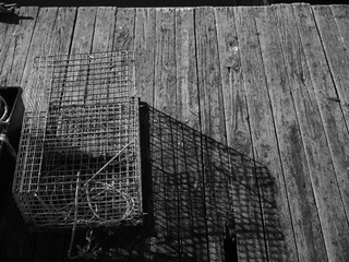 Lobster trap casting long shadows on an old wooden dock