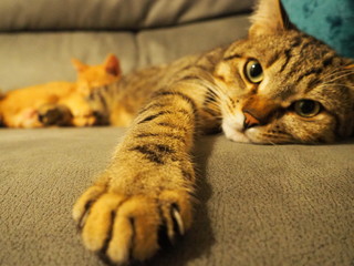 Dante e Merida, profondit&agrave;