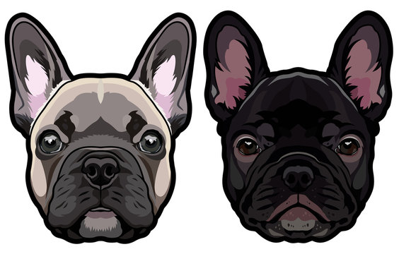 Vector set of french bulldog's heads illustration