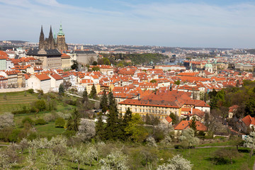 Obraz premium Spring Prague City with gothic Castle and the green Nature and flowering Trees from the Hill Petrin, Czech Republic