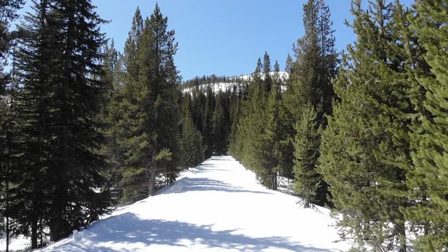 Snow covered cross-country skiing trail in eastern Oregon (4k)