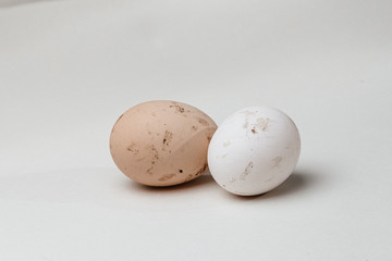 dirty eggs on a white background subject 2 eggs