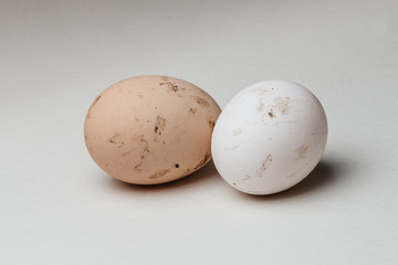 dirty eggs on a white background subject 2 eggs