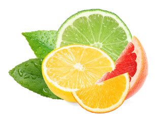 Different citrus fruits with leaves on white background