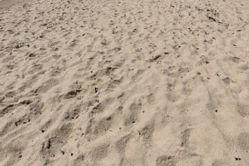 sand texture background