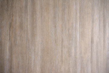 Naklejka premium Back