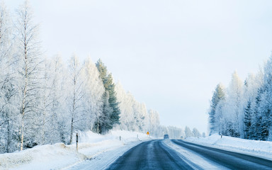 Winter road and Snowy Forest at Cold Finland reflex