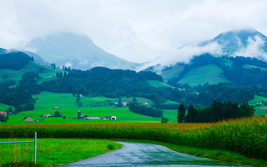 Road at Prealps mountains in Gruyere in Fribourg Switzerland reflex