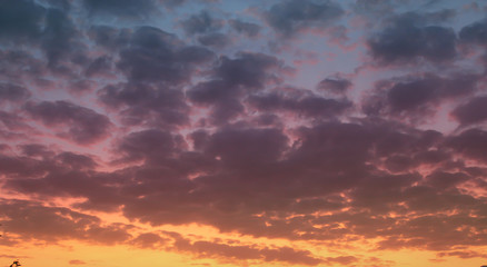 Fototapeta na wymiar Sunset sky, big clouds. Orange violet colors