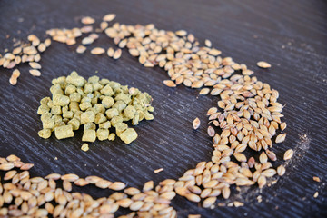 the special bitter beer and its components