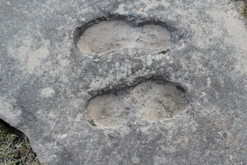footprint in sand