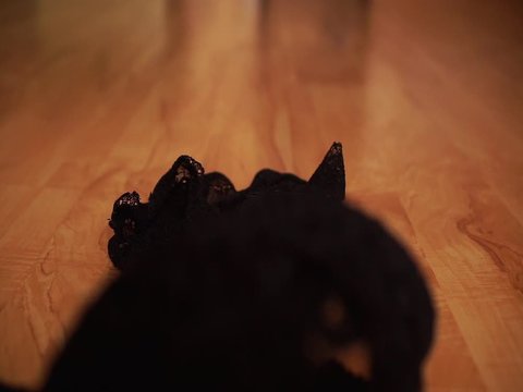 A woman in black shoes throws lace lingerie on the floor and leaves. Beauty and sex concept