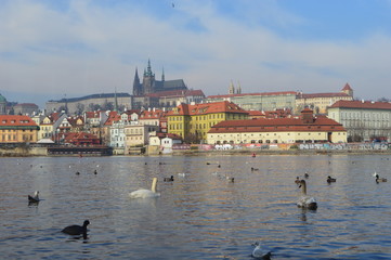 Fototapeta premium prague castle and charles bridge